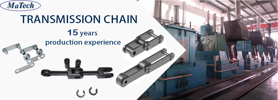 MATECH OEM Service Steel Heavy Duty Chain (图1)